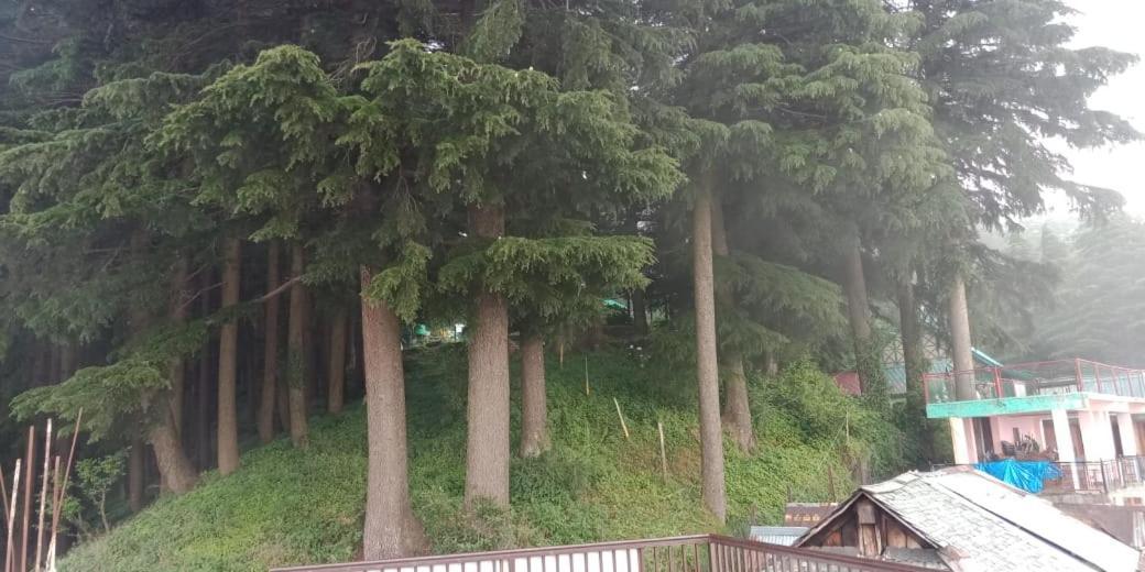 Hotel Forest View Lāhri Dış mekan fotoğraf