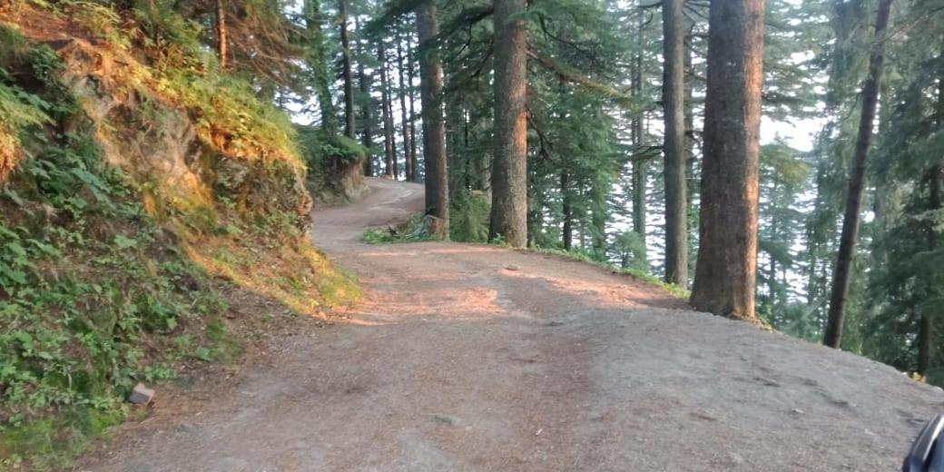 Hotel Forest View Lāhri Dış mekan fotoğraf